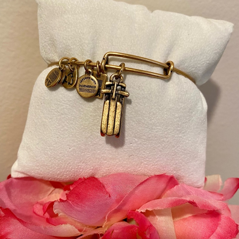 Alex and Ani Sled Expandable Bangle in Rafaelian Gold Finish